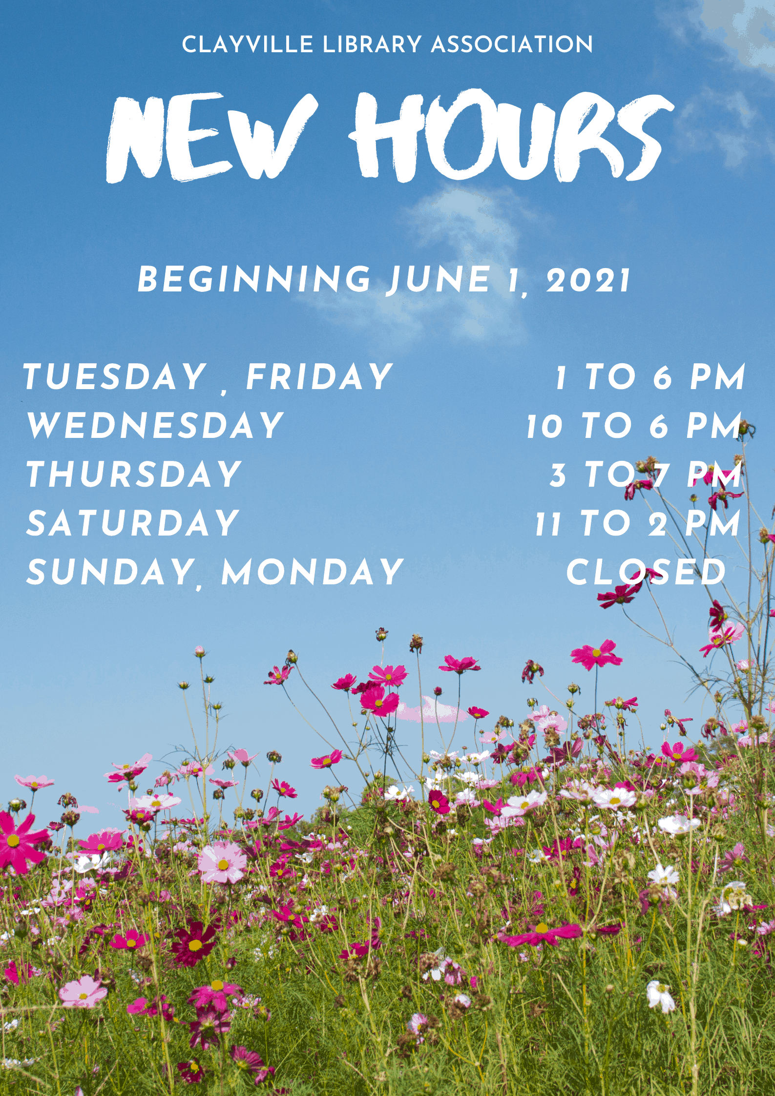 Clayville Library Association Library site